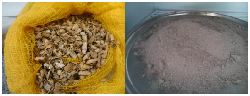 Pesquisa utiliza materiais como cascas de amendoim e cinzas