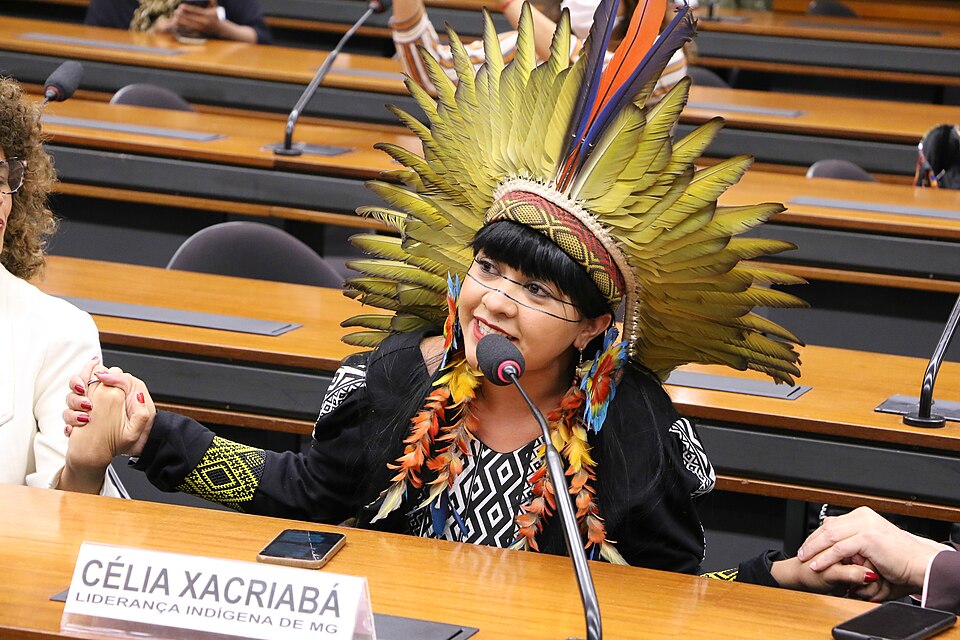 Clia Xacriab Comisso de Cultura