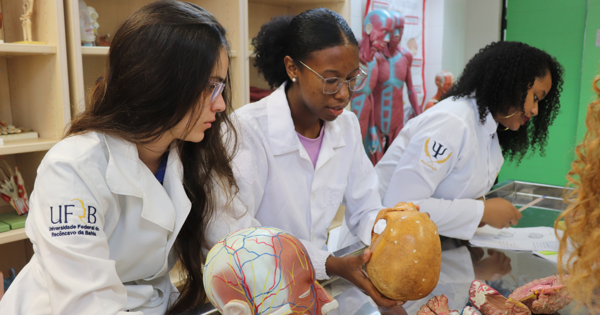 transferencia interna 2024