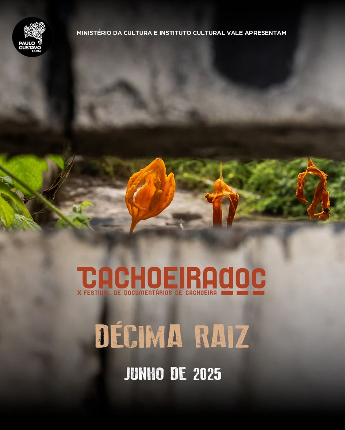 X CachoeiraDoc