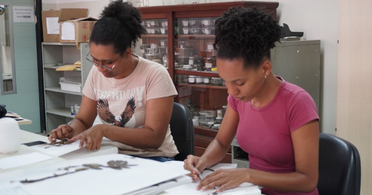 UFRB seleciona estudantes para atuarem como voluntários(as) no programa de Tutoria por Pares