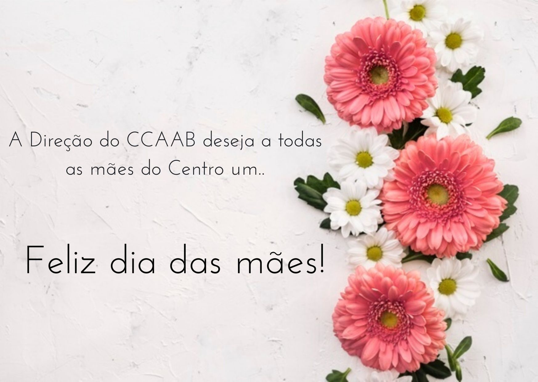 A Direção do CCAAB deseja a todas as mães do Centro um Feliz dia das mãs 1