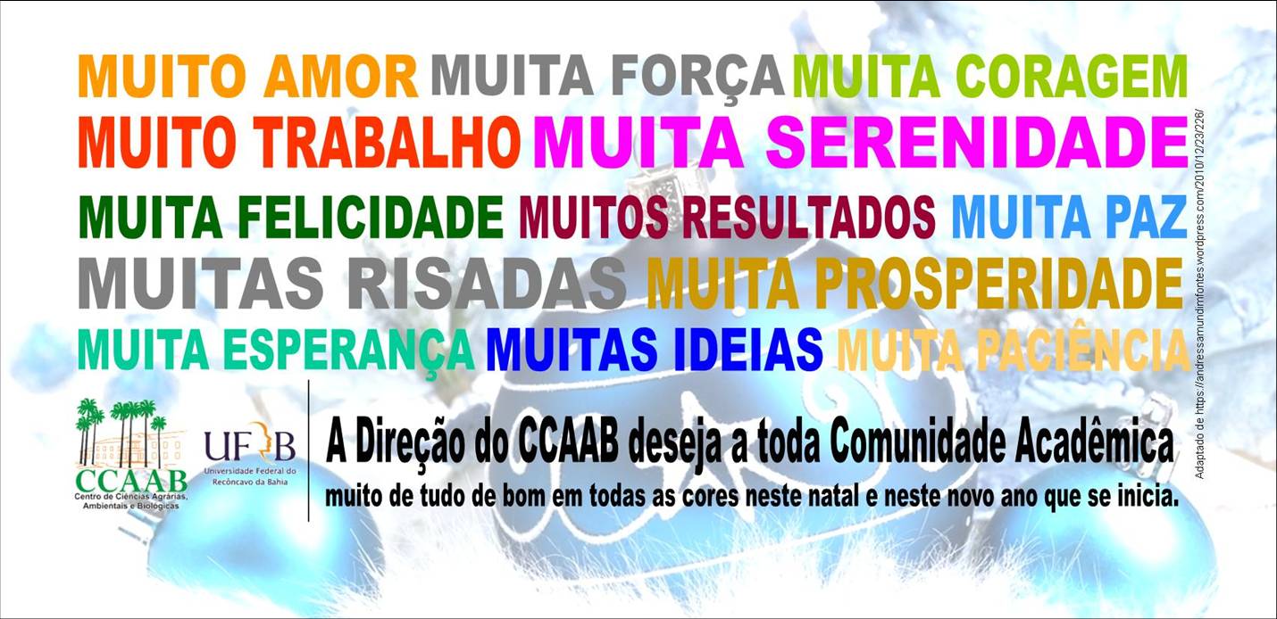 mensagem final de ano