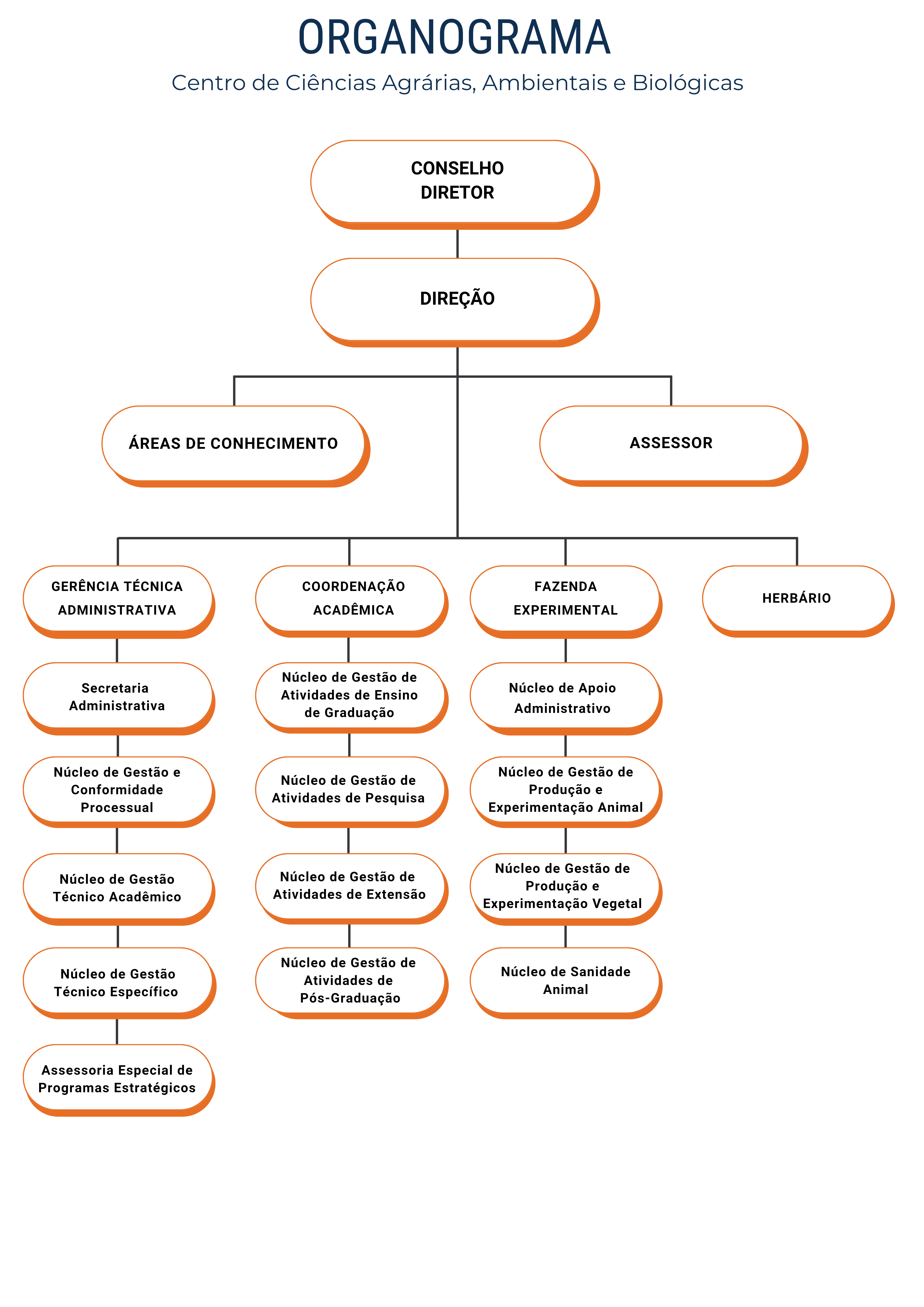 Organograma CCAAB 20250320 150051 0000