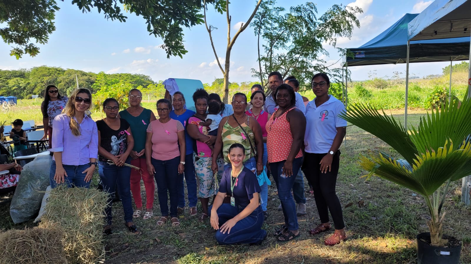 Foragem II Visita 1