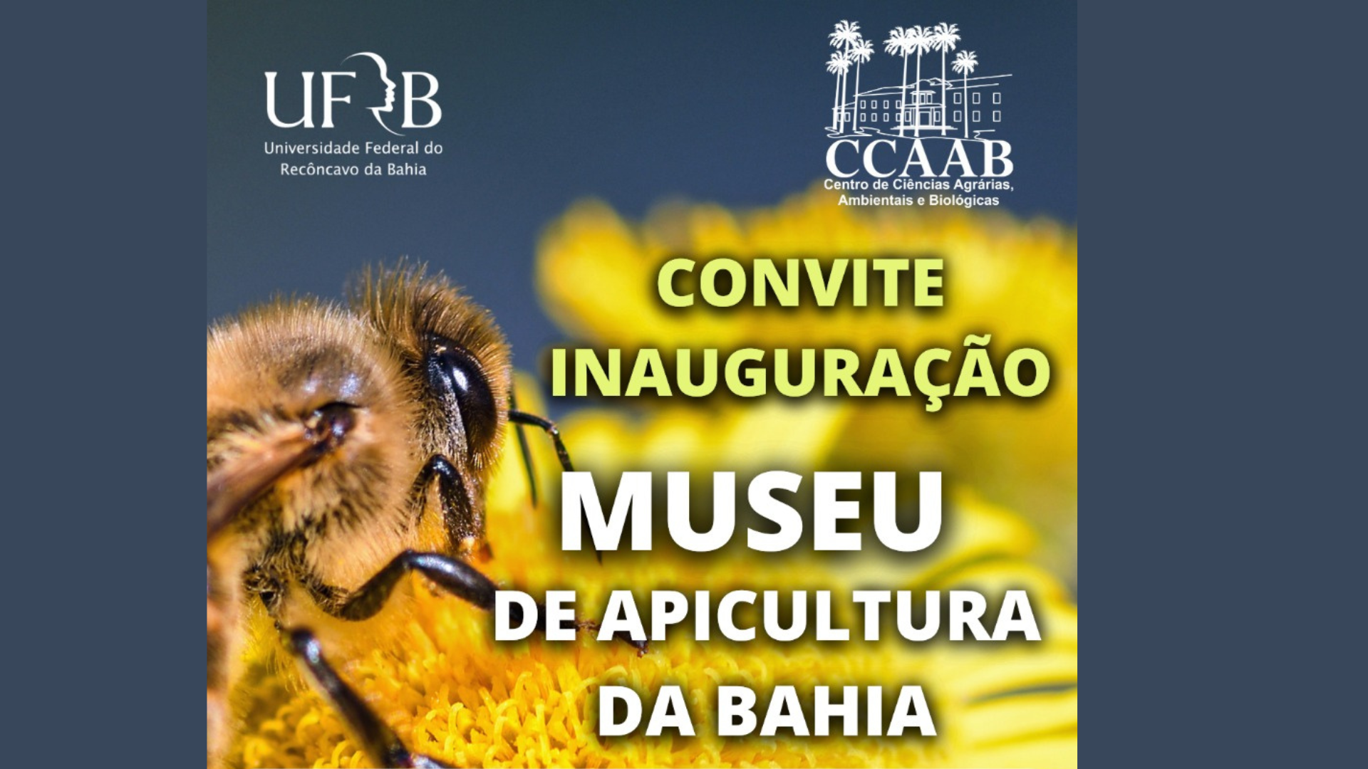 Convite Inauguração do Museu de Apicultura da Bahia