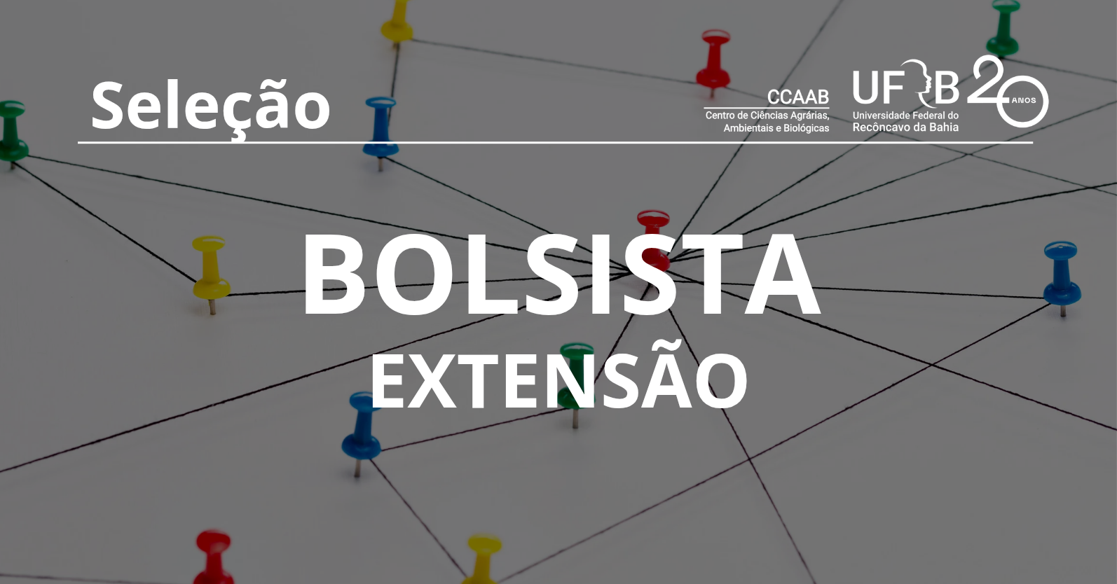 Seleção de Bolsistas de Extensão (Edital nº 01/2026 – CCAAB/UFRB)