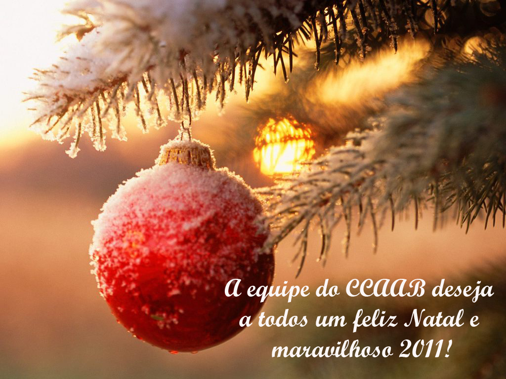 Feliz Natal e boas festas! Feliz Natal e boas festas!