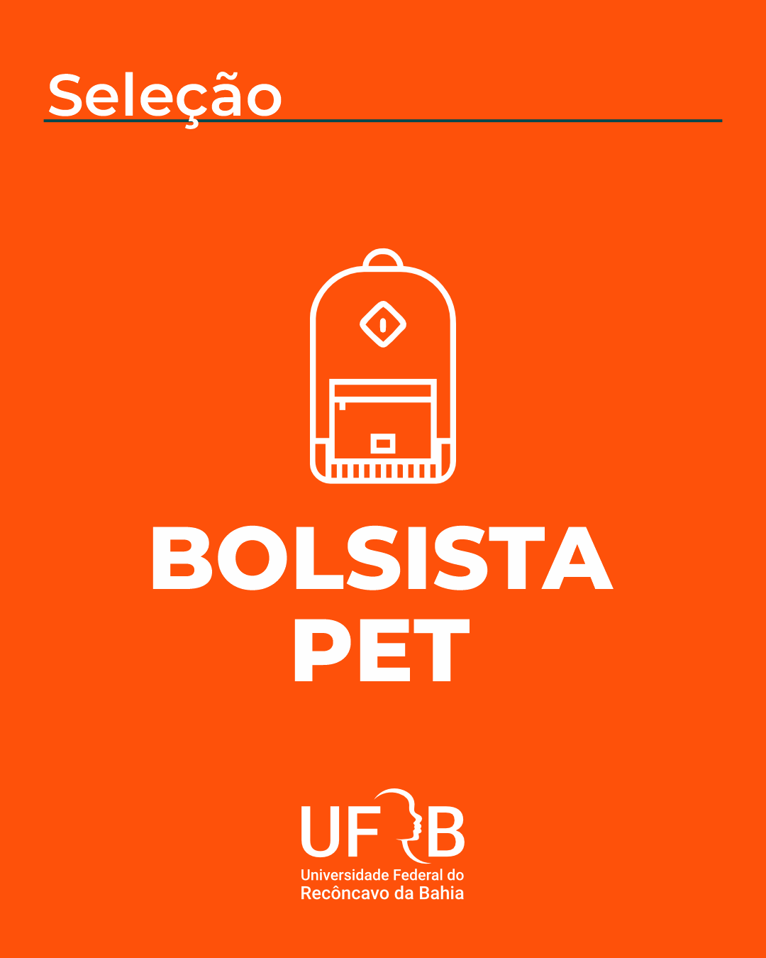 bolsista pet feed