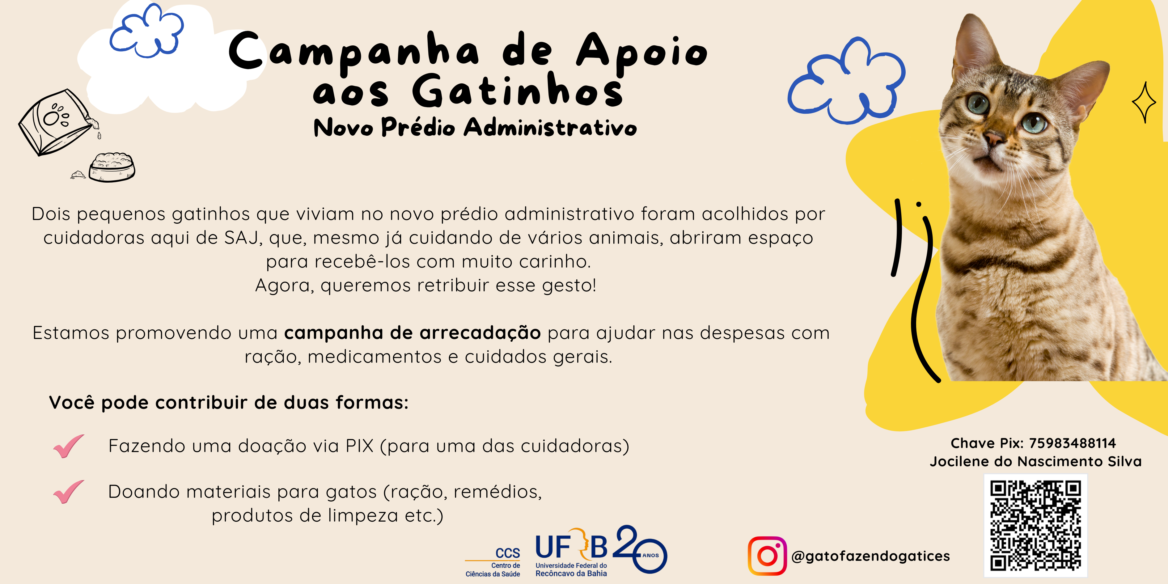 Campanha de Apoio aos Gatinhos do Novo Prédio Administrativo