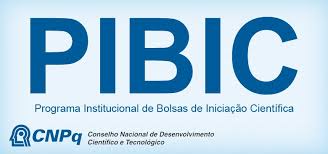 imagePIBIC