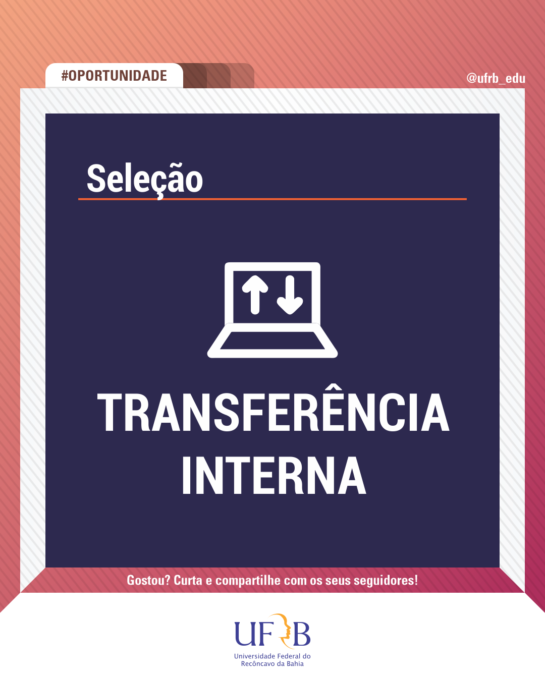 transf interna feed