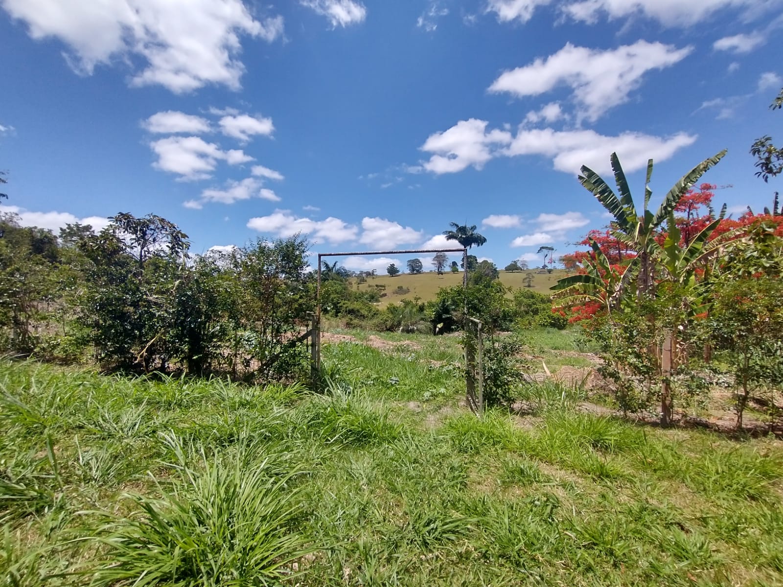 Campo de Experiências e Práticas Agroecológicas 01