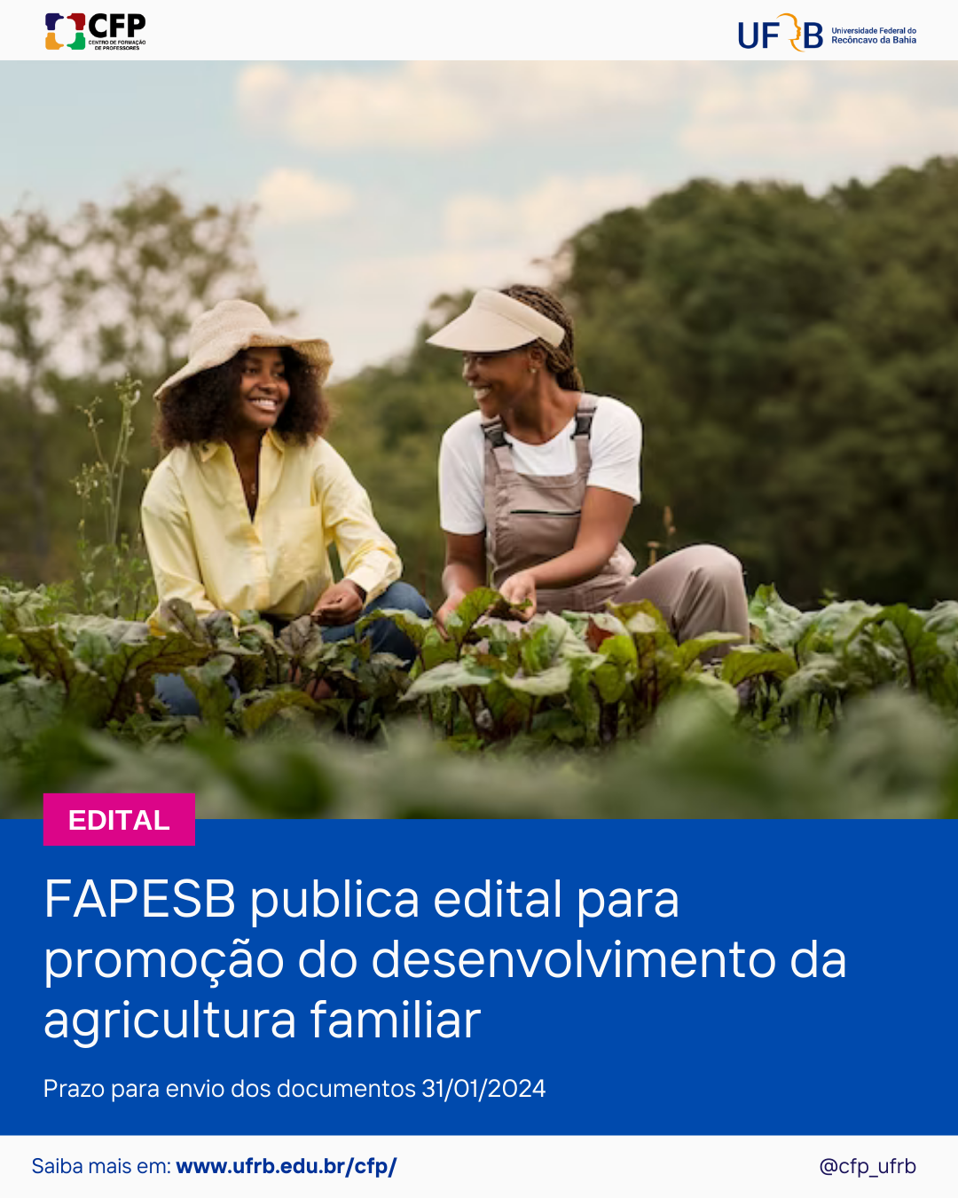 imagem sem descrição.