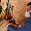 Fotos Dona Cadu