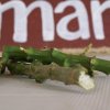 dsc03774_640x428