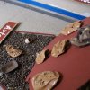 dsc03785_640x428