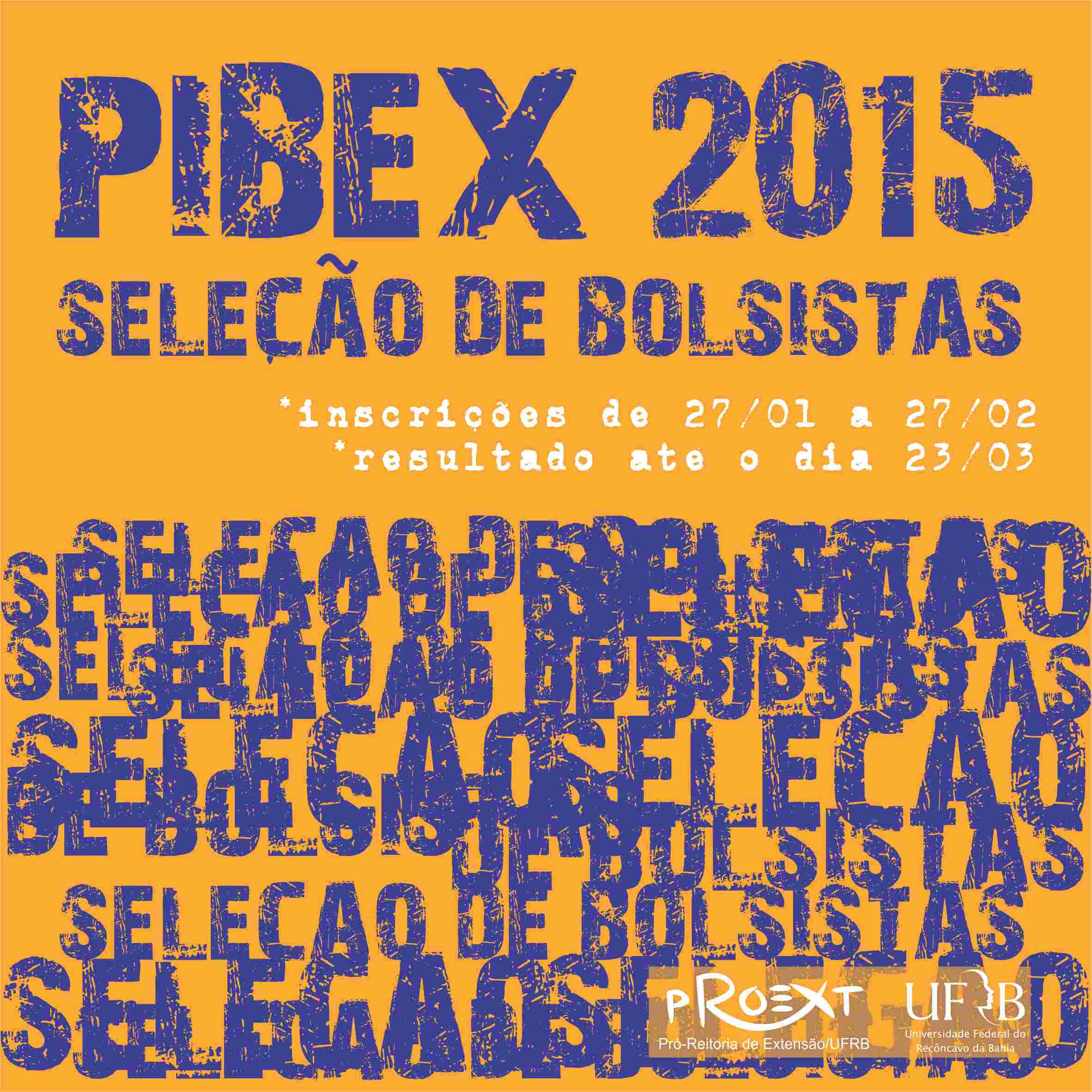 edital pibex