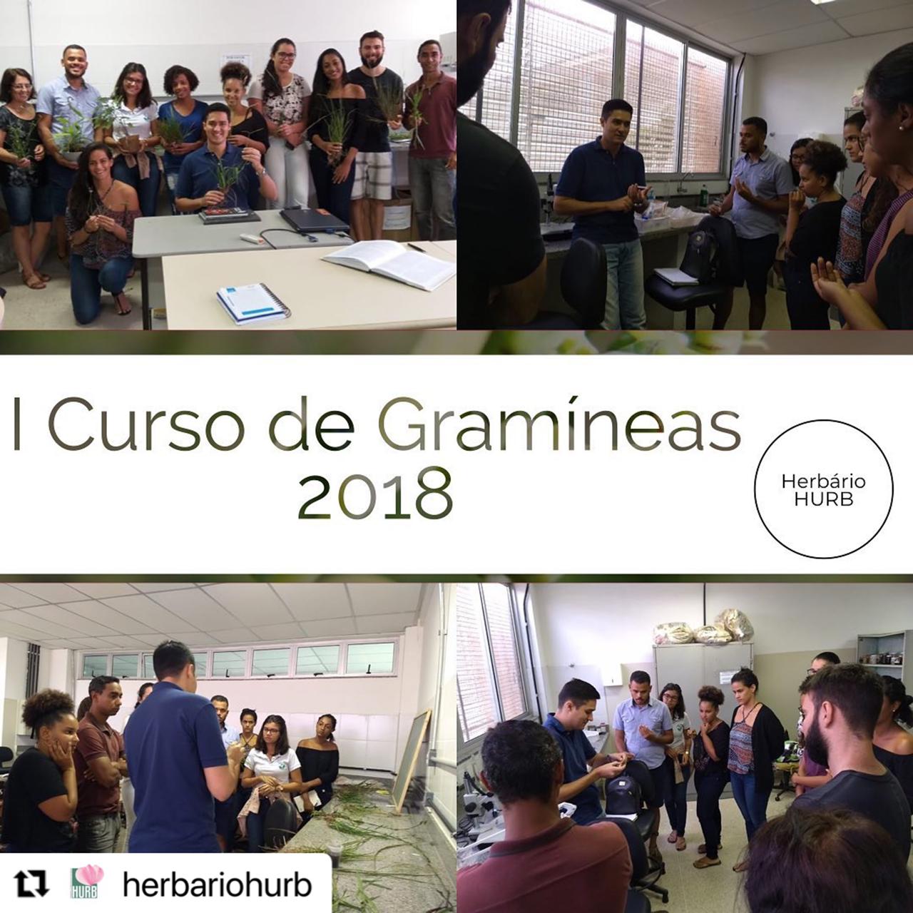 Primeiro Curso de Gramínea