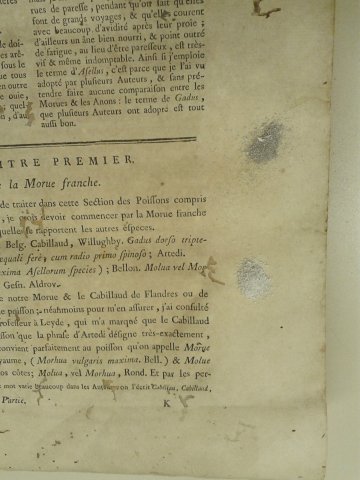 Higienização mecânica com pó de borracha