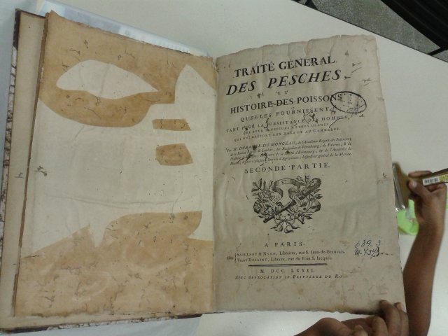 Genera et Species Plantarum Argentinarum II em processo de higienização