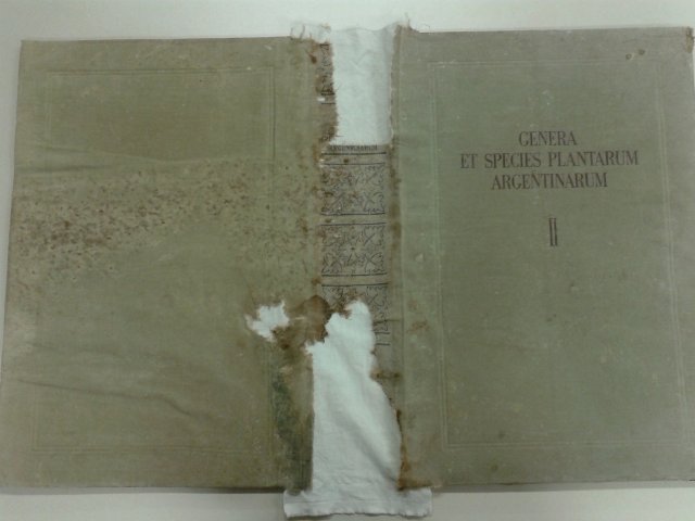 Recomposição da capa