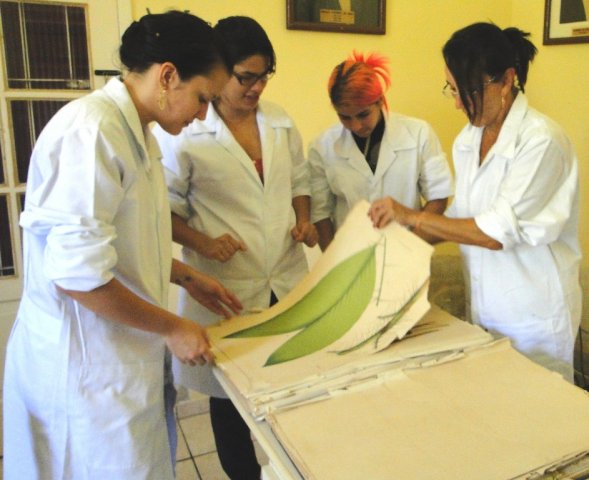 Atividade de conservação