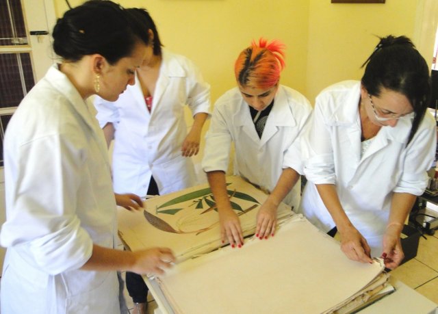 Atividades de conservação