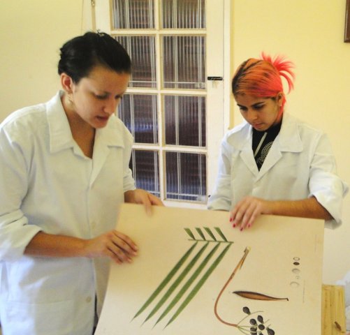 Alunas de museologia desolvendo atividades de estágio no acervo do MEASB