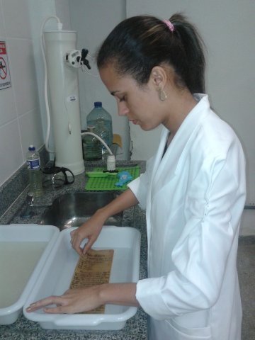 Aluna de Museologia, Stéphanie Magdalena, realizando lavagem para desacidificar o documento
