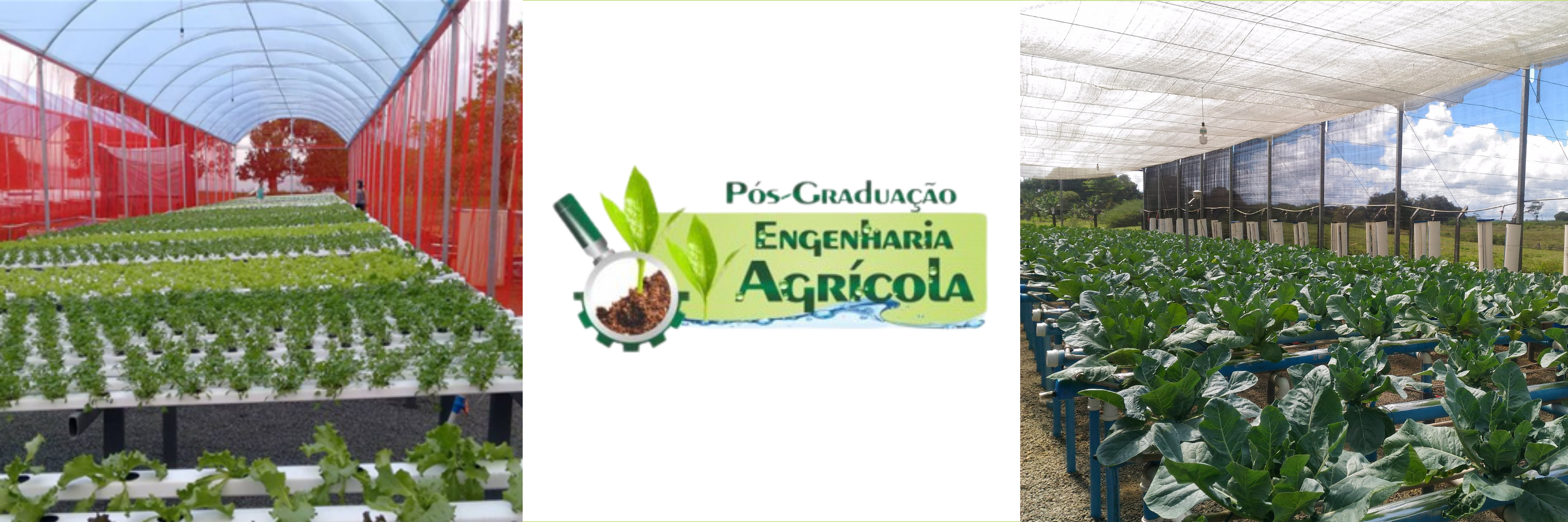 estufas