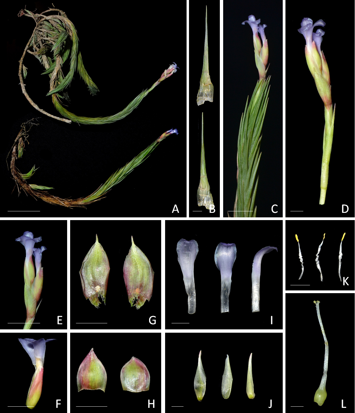 305482787 10217847050086677 266637403598924520 n