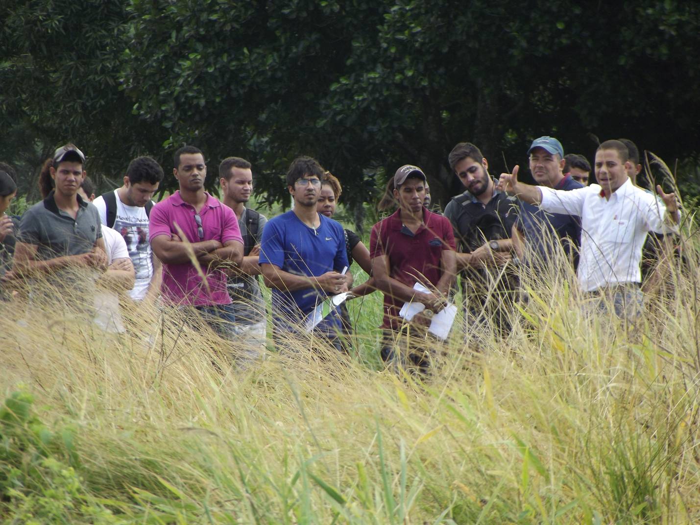 Dia de Campo de Silagem