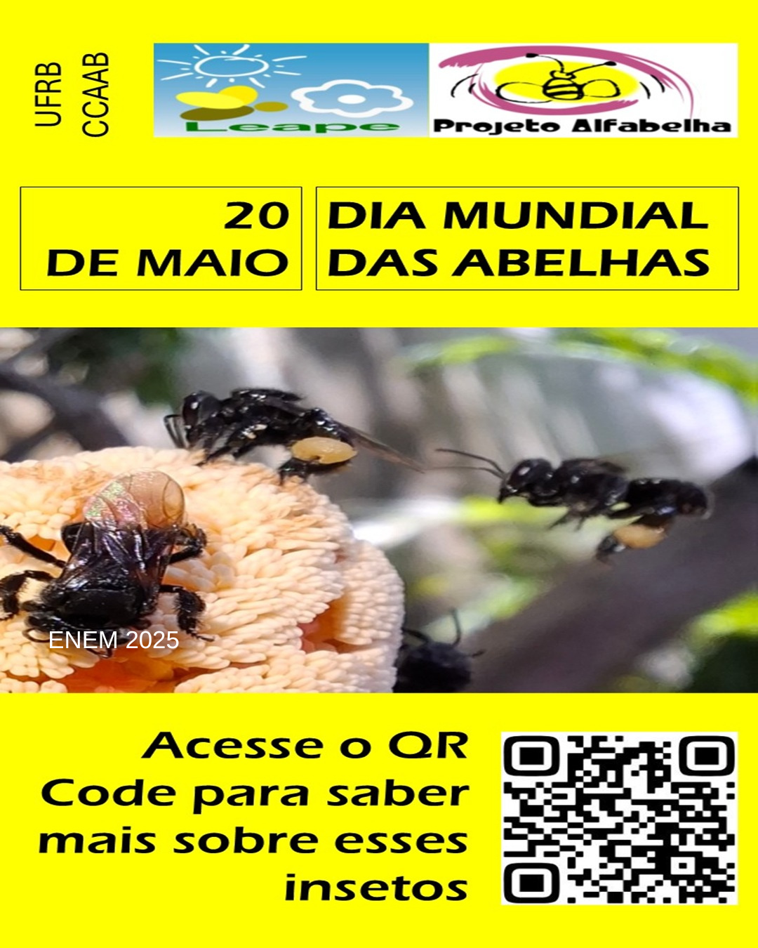 Exposição interativa: Abelhas, quem são esses insetos? Venha, o Alfabelha vai te contar