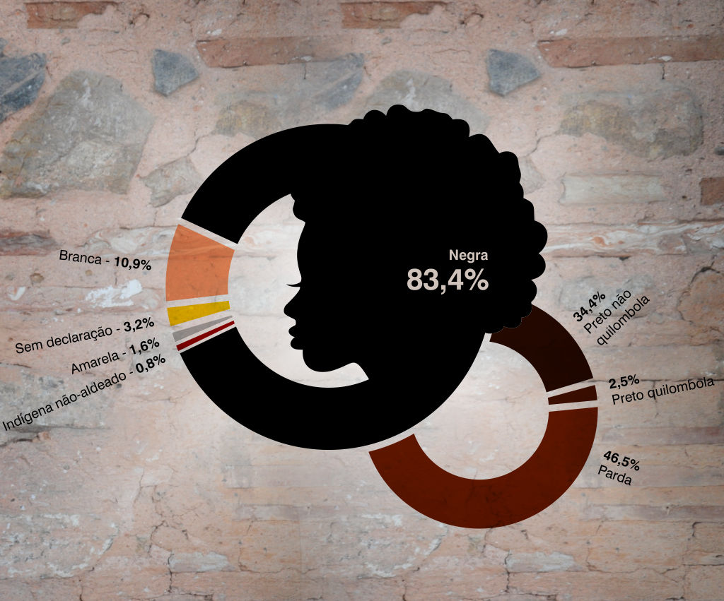Gráfico raça/cor/etnia dos estudantes da UFRB