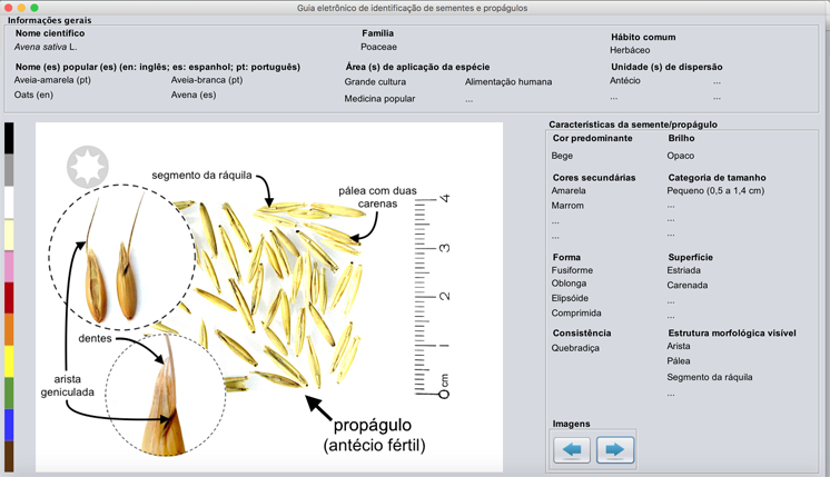 Guia eletrônico: para amadores e profissionais
