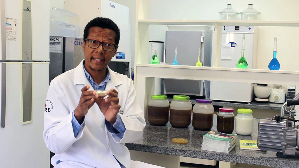 imagem sem descrição.