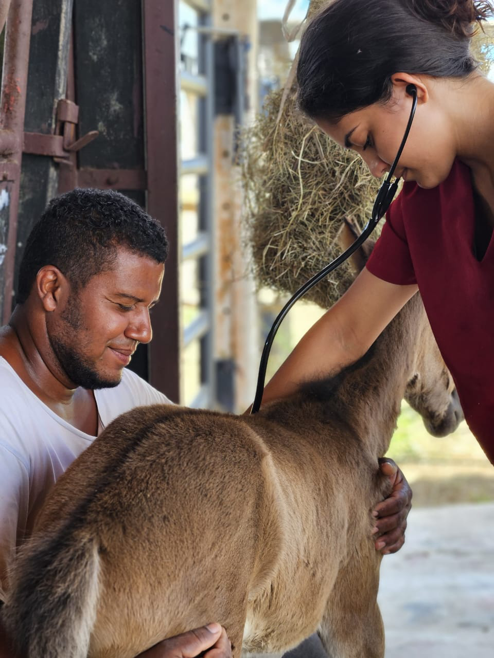imagem sem descrição.