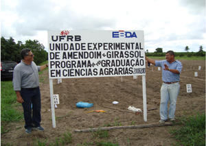 Professor Clovis Peixoto (UFRB) e Engenheiro Agrônomo Valmir Pereira (EBDA) em área experimental no município de conceição do Almeida/BA