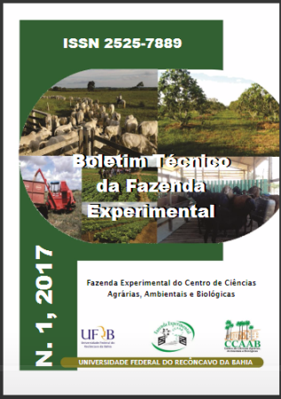 imagem sem descrição.