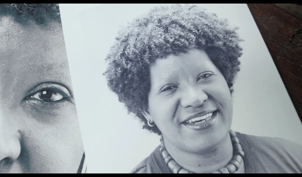 imagem sem descrição.