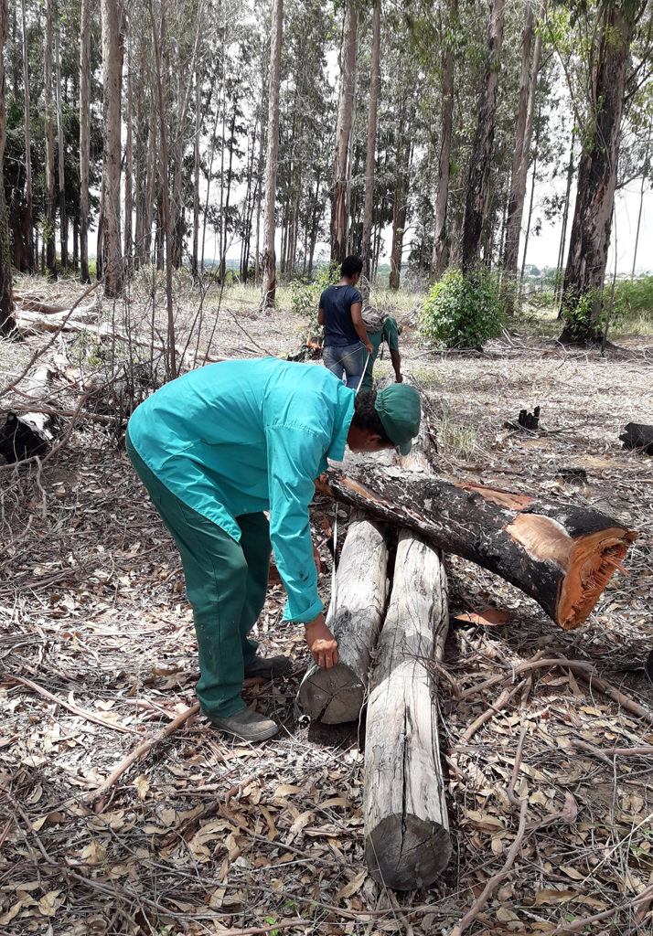 imagem sem descrição.