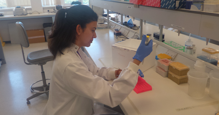 A pesquisa foi realizada entre maio de 2017 e dezembro de 2018