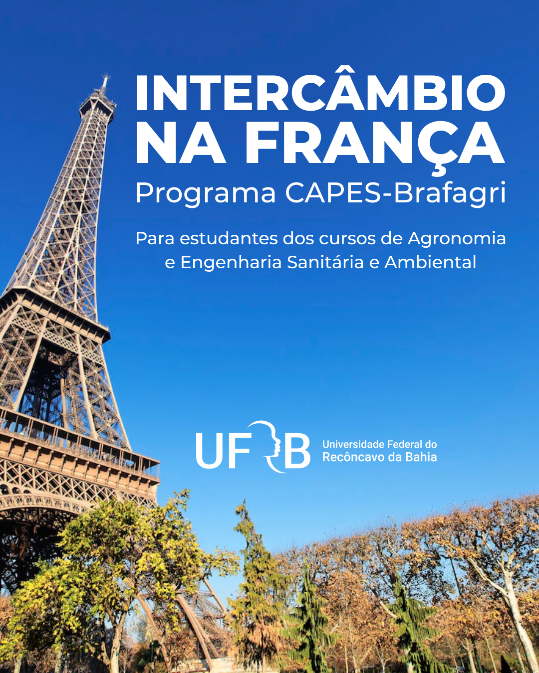 imagem sem descrição.