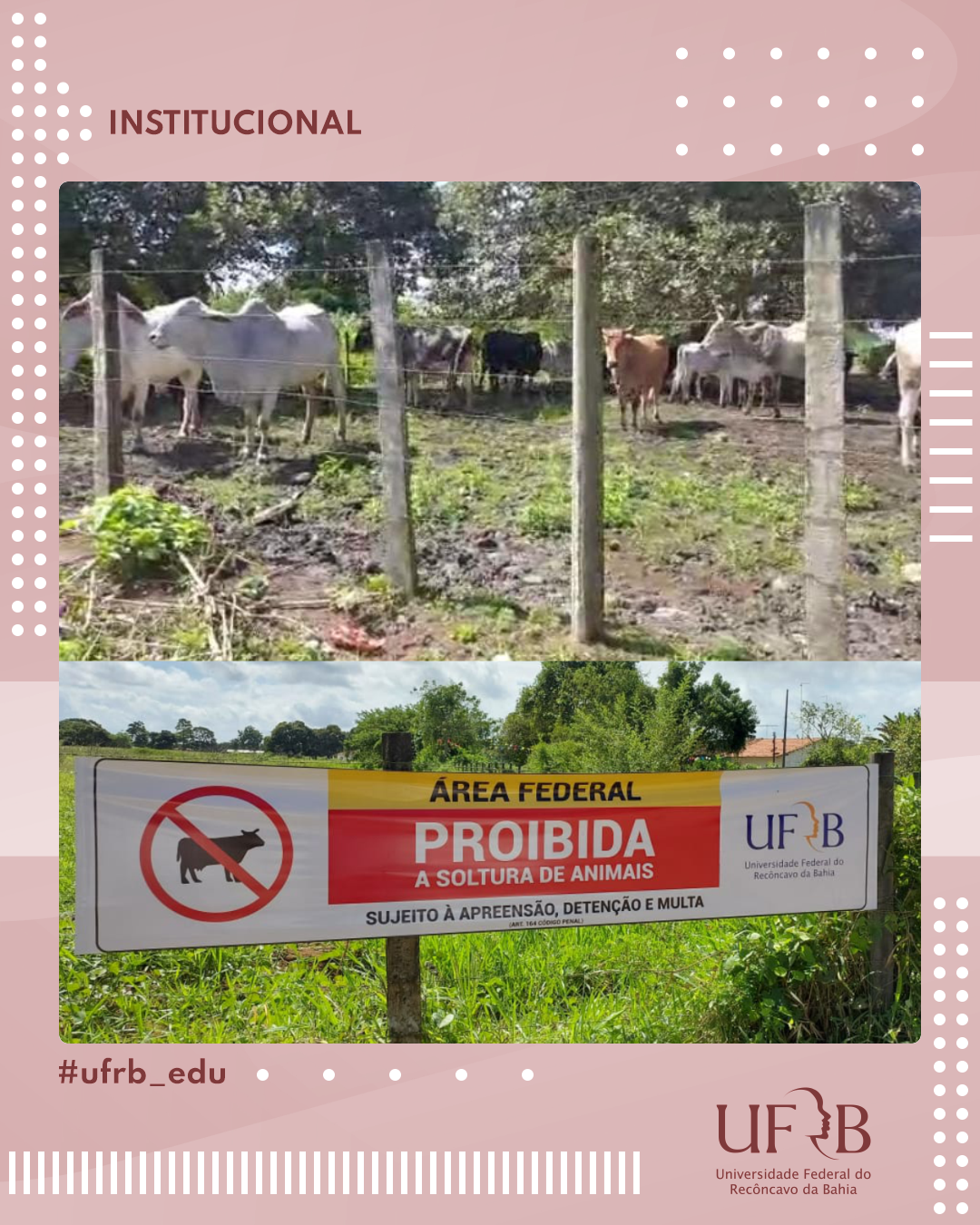 imagem sem descrição.