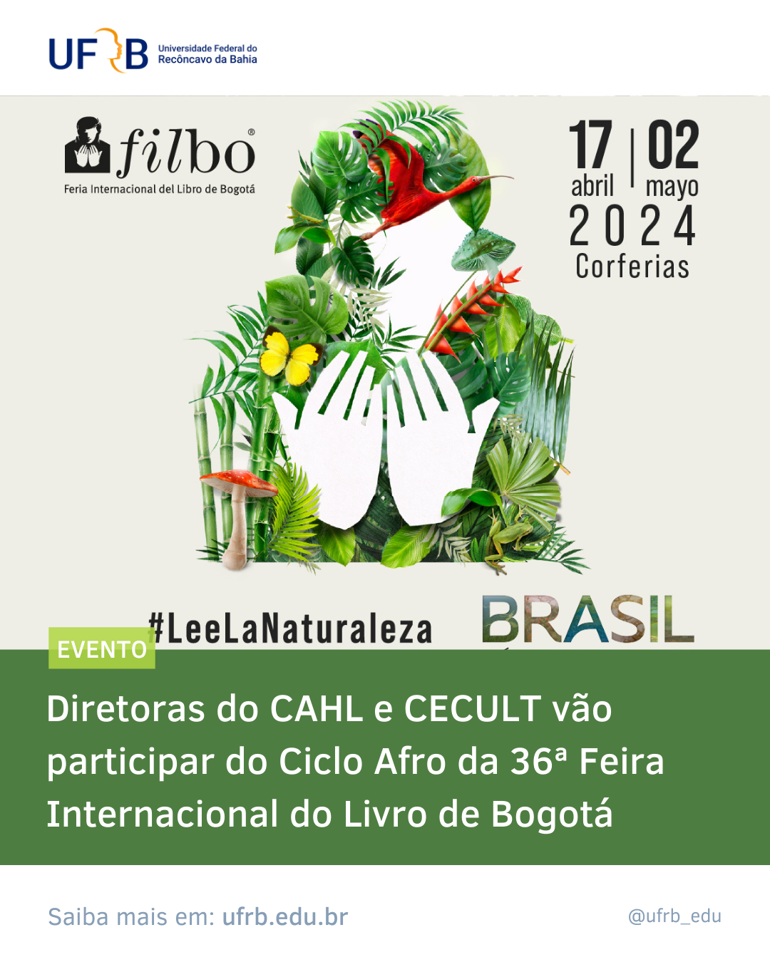 imagem sem descrição.