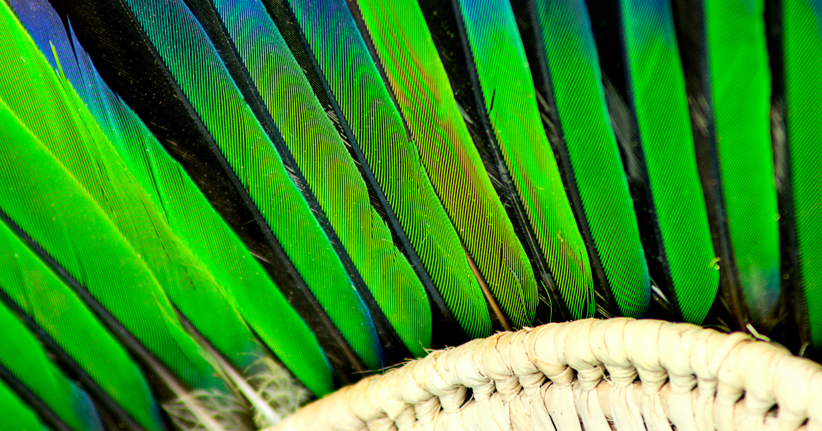 A imagem mostra uma série de penas coloridas, predominantemente em tons de verde e azul, dispostas lado a lado. As penas têm um aspecto brilhante e vibrante. Na parte inferior da imagem, há uma estrutura trançada de cor clara, que parece ser feita de algum tipo de fibra natural, possivelmente parte de um adorno ou acessório.