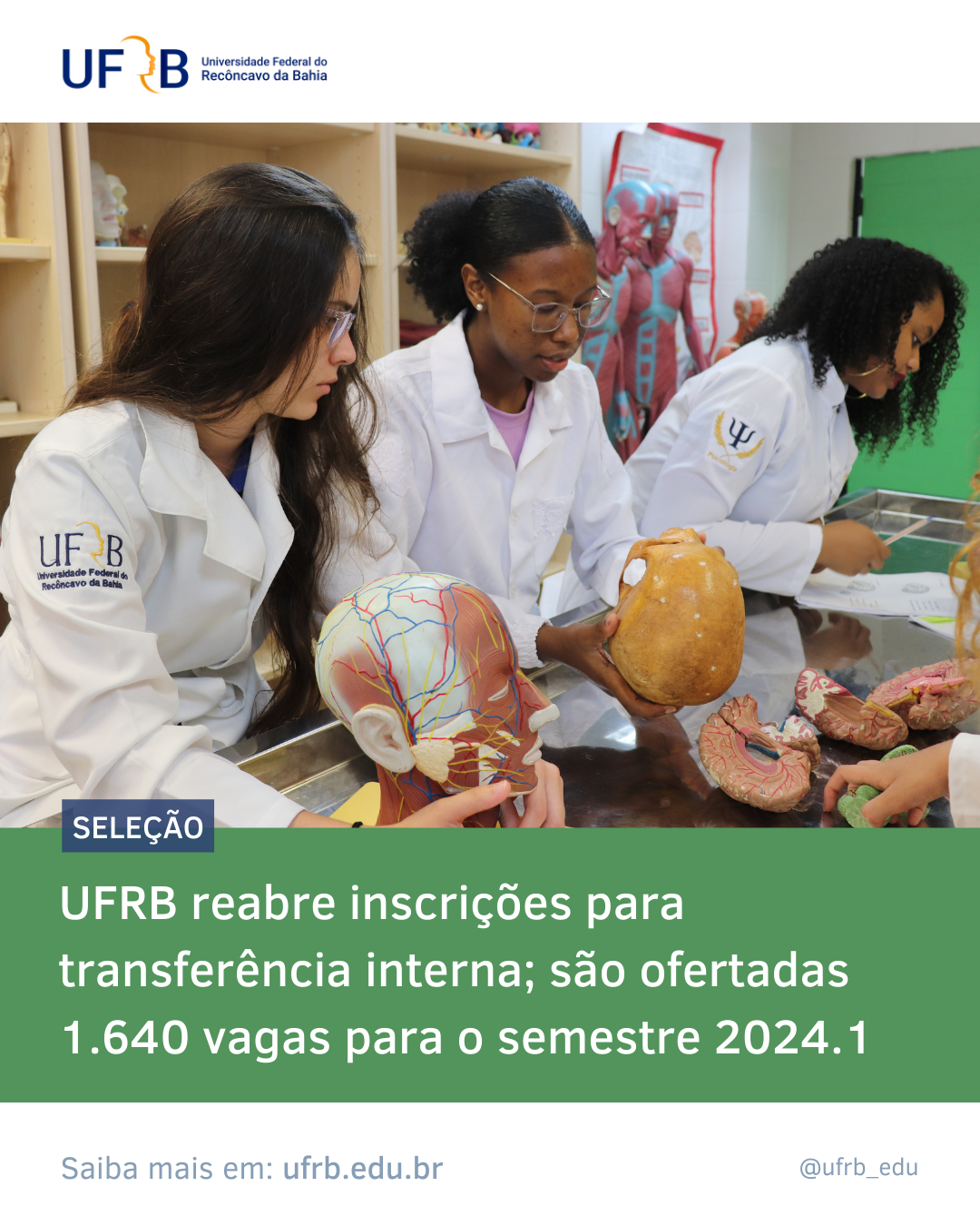 imagem sem descrição.