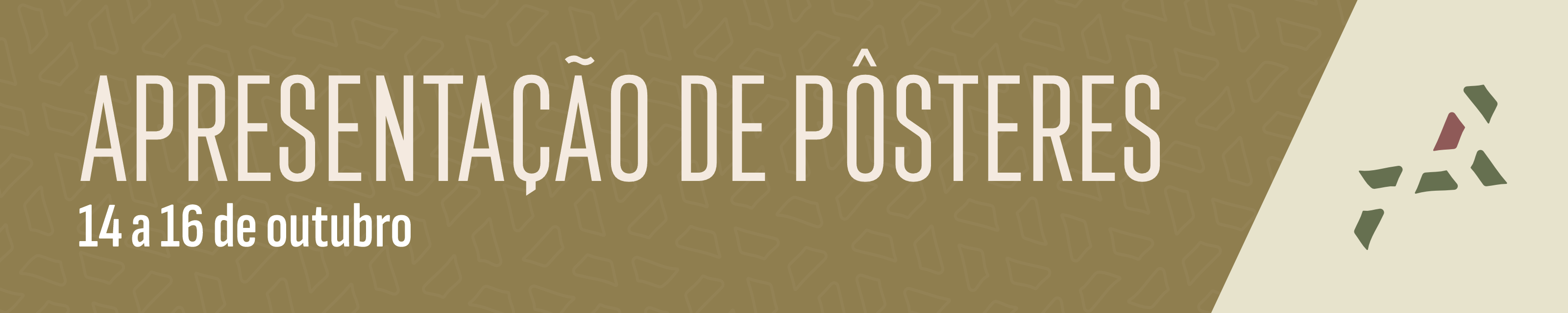 PROGRAMAÇÃO PÔSTERES