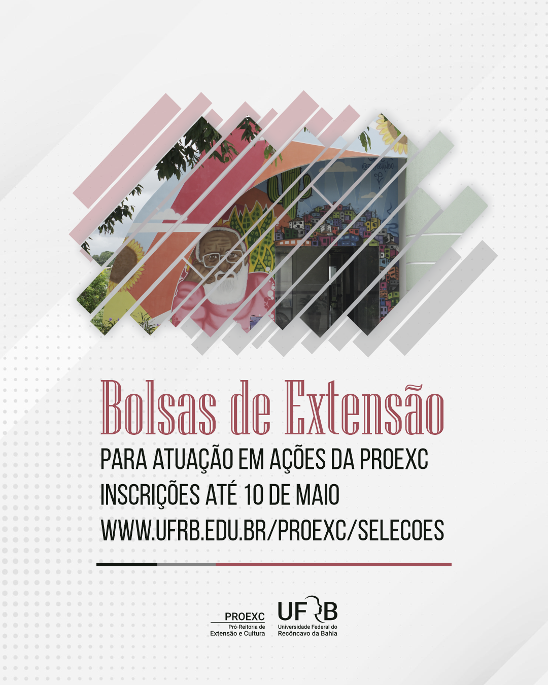 bolsa de extensao interna2